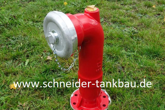 Detailansicht eines roten Löschwasser-Sauganschlusses, der aus einer Rasenfläche herausragt.